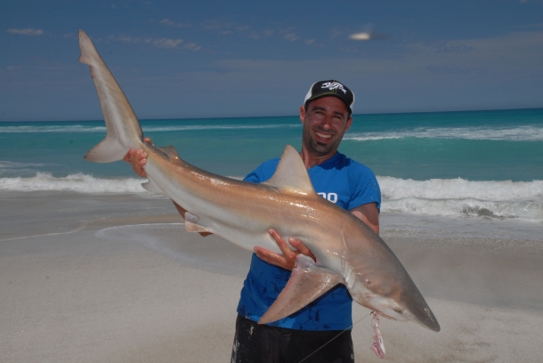 Bait tips for beach fishing